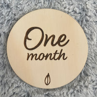Cute & quirky milestone disc set