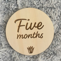 Cute & quirky milestone disc set
