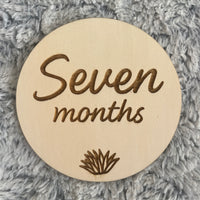 Cute & quirky milestone disc set