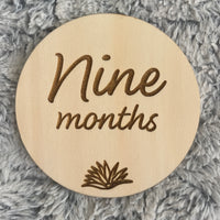 Cute & quirky milestone disc set