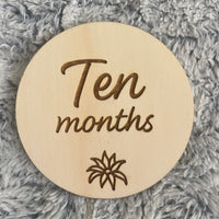 Cute & quirky milestone disc set