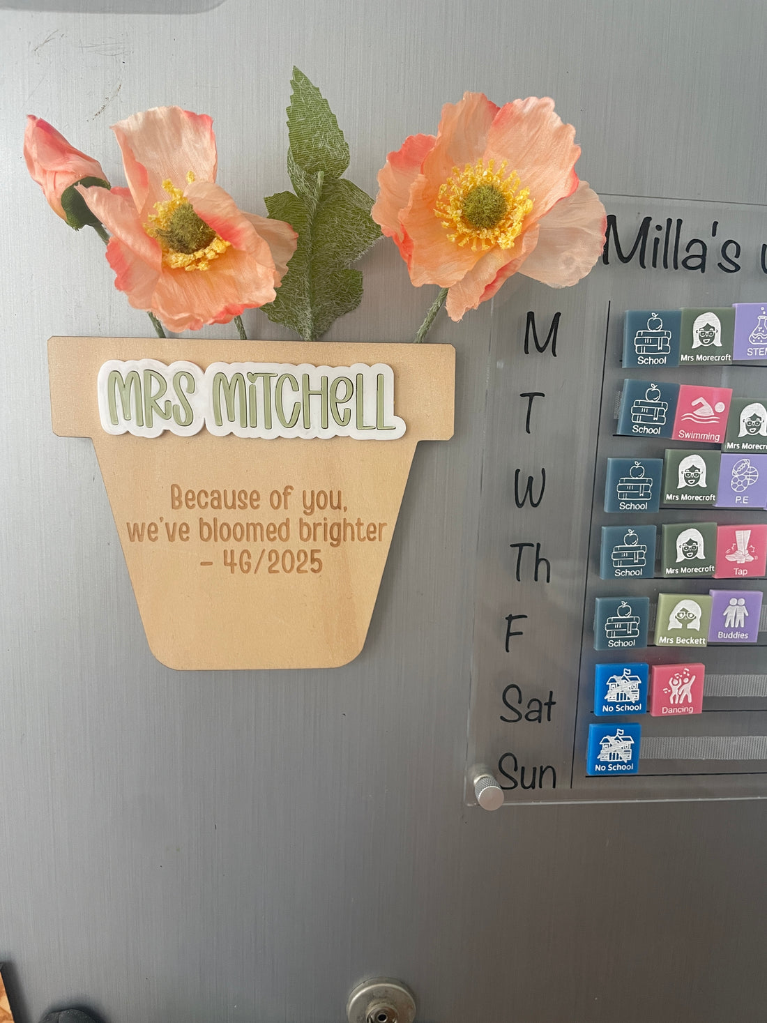 Teacher Magnetic Pot Plant Gift