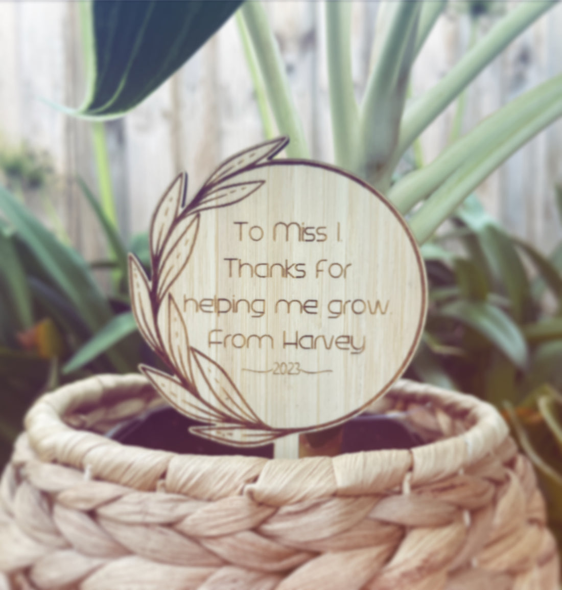 Teacher Appreciation Personalised Planter Stick - Natural Bamboo