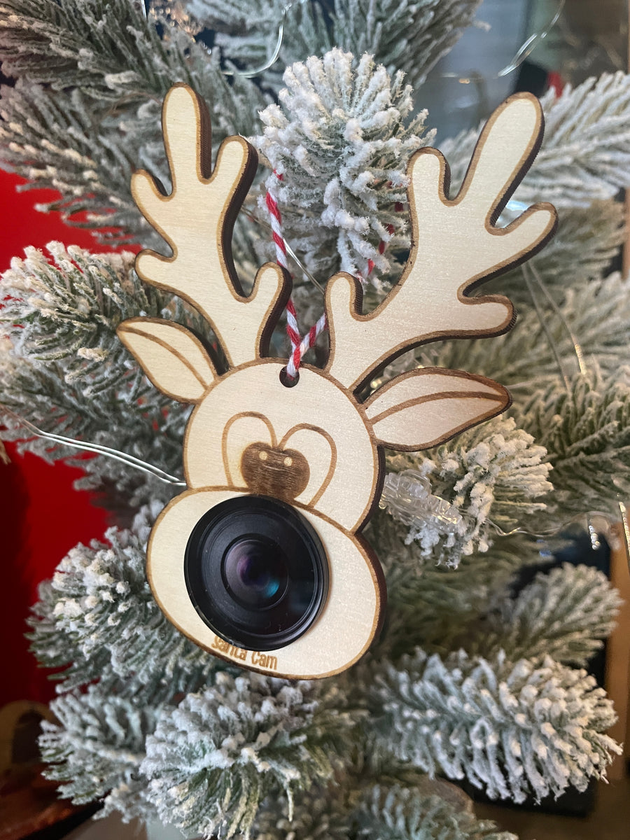 Santa Cam - tree decorations